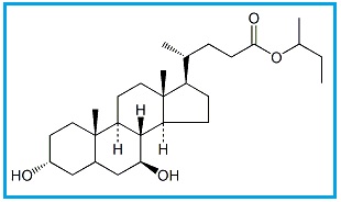 Ursodeoxycholic Acid 2-Butyl Ester
